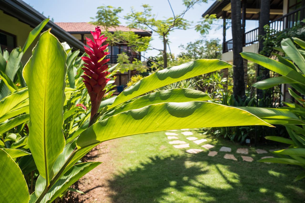 Dream Garden Hotel Arugam Bay Exterior foto