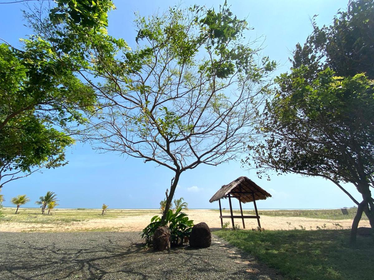 Dream Garden Hotel Arugam Bay Exterior foto